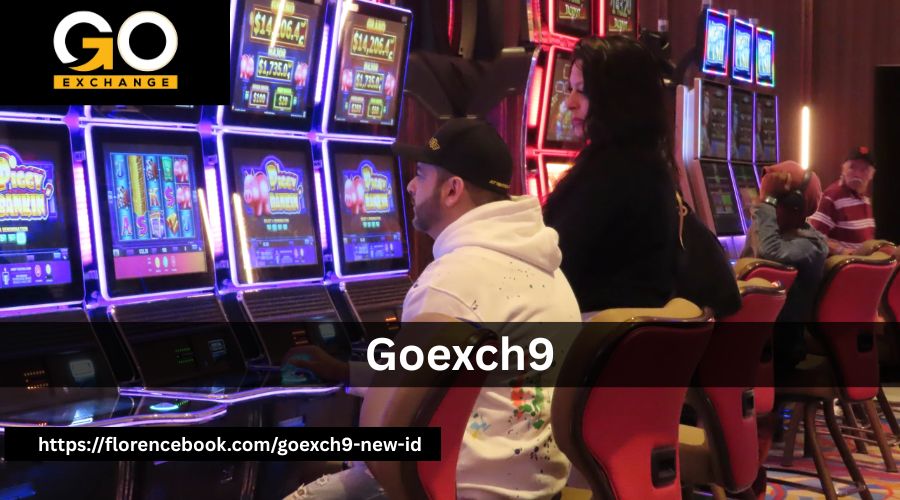 Turn Your Sunday into a Winning Adventure with Goexch9